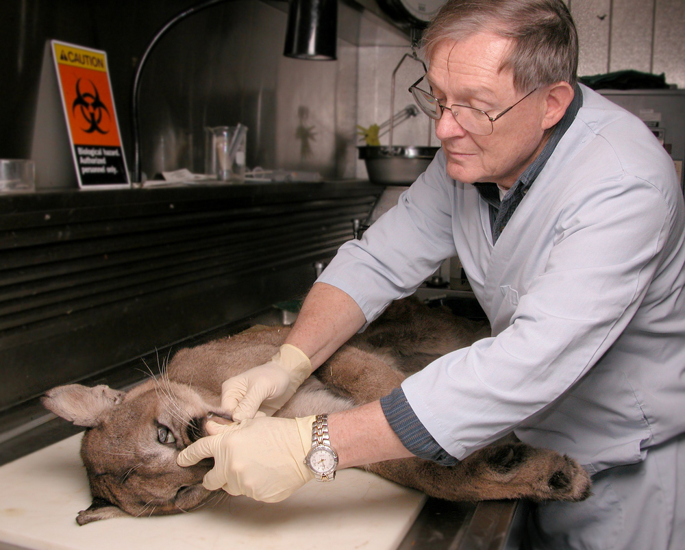 U.S. Fish and Wildlife Forensics Lab