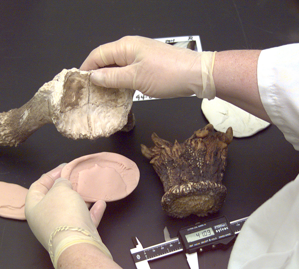 U.S. Fish and Wildlife Forensics Lab