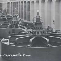 Science, Medicine, and Technology