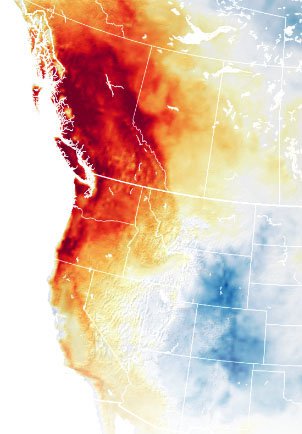 Map of temperature anomalies, 2021