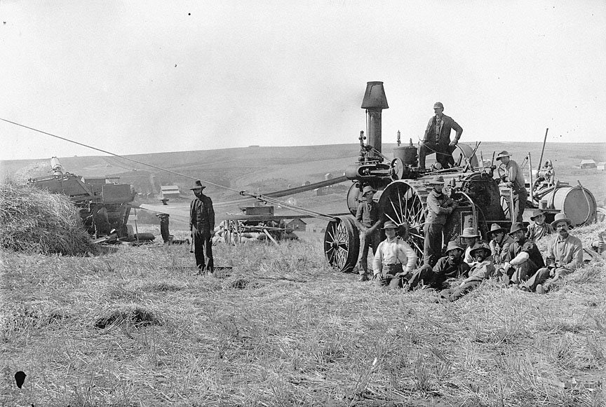 Wheat Harvesting, Sherman County, c. 1895