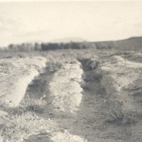 Oregon Trail and Resettlement