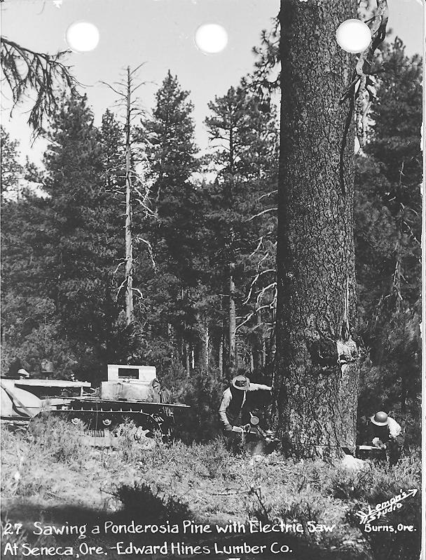 Robert Lemons, photographer.