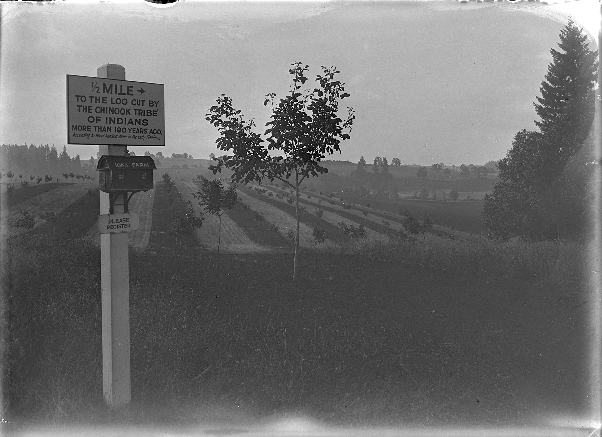 Sign says: "1/2 mile to the log cut by the Chinook Tribe of Indians more than 100 years ago, according to word handed down by the early settlers."