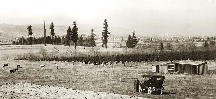 Crystal Springs Farm, 1908