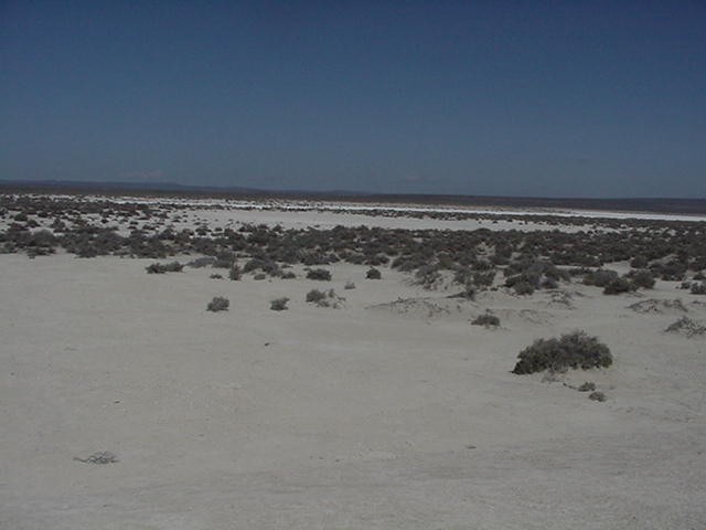 Alkali Lake Chemical Waste Disposal Site, West Alkali Lake, May 2004.