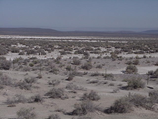 Alkali Lake Chemical Waste Disposal Site, West Alkali Lake, May 2004.