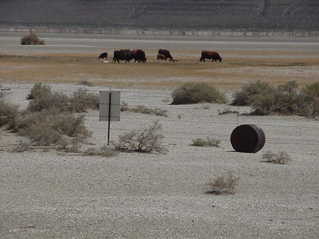 Alkali Lake Chemical Waste Disposal Site