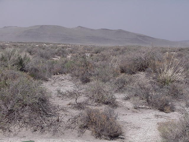 Soil treatment at Alkali Lake Chemical Waste Disposal Site, May 2004.