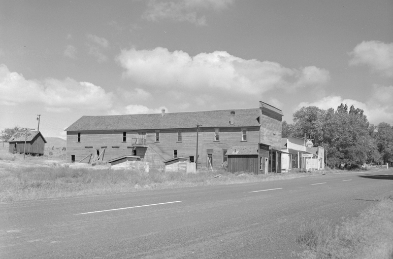 Antelope, June 1960.