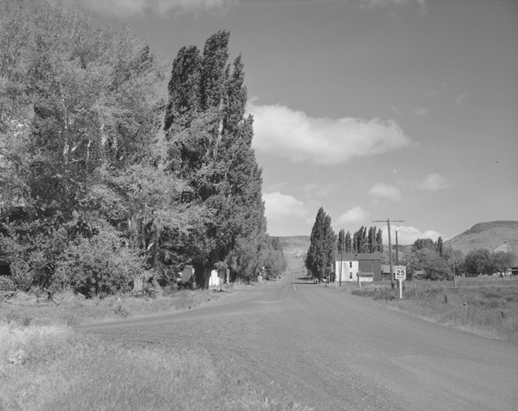 Antelope, June 1960.