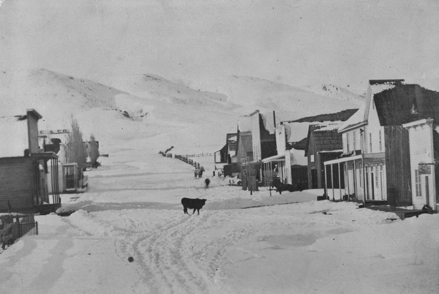 Antelope, March 1891.