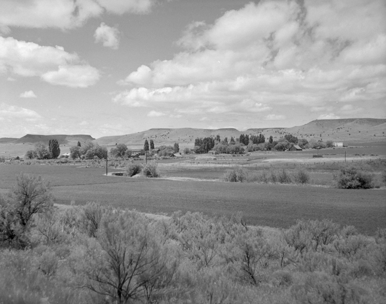 Antelope, about 1960.
