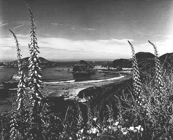 Harris State Park near Brookings, 1942.