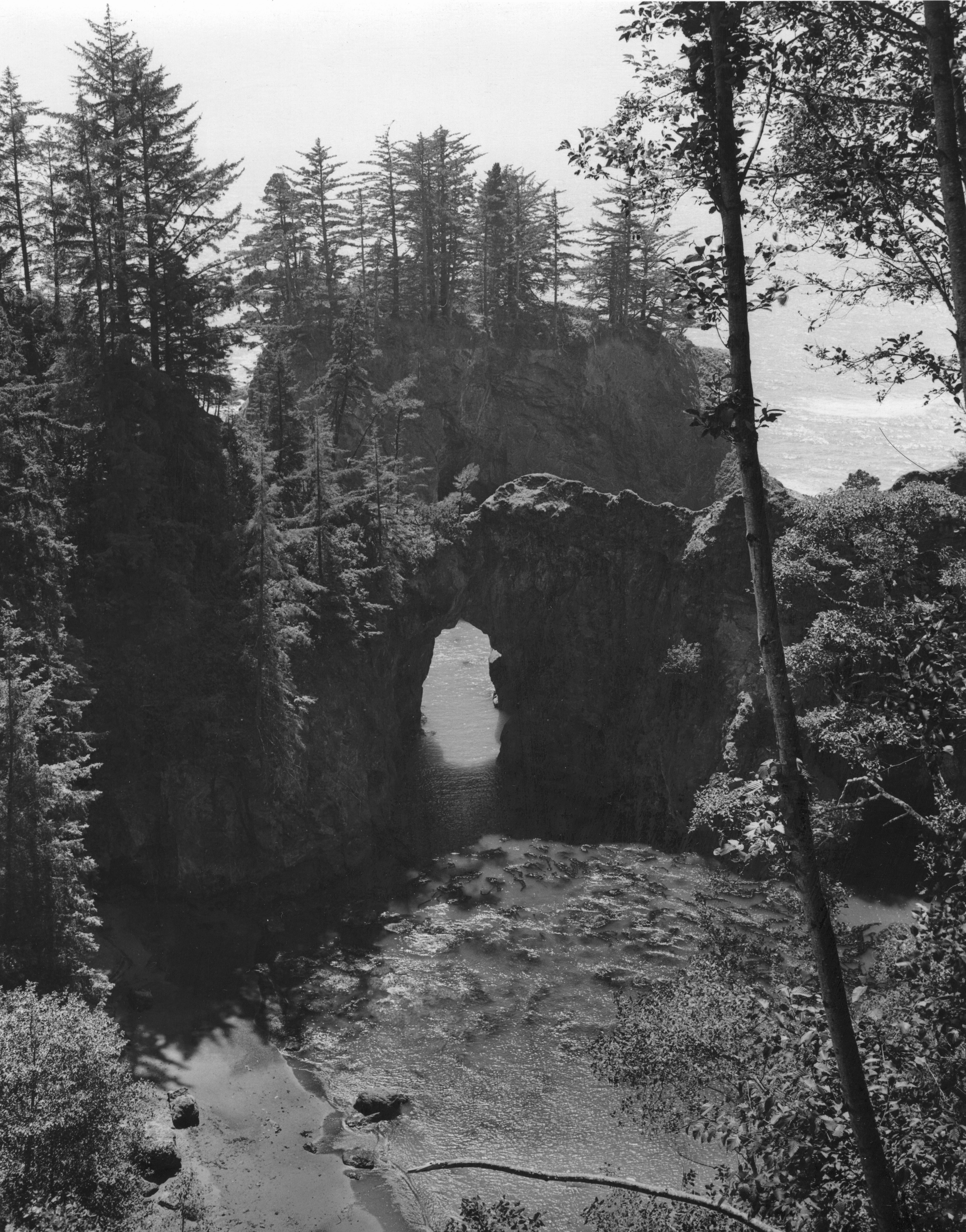 Natural bridge on the Oregon coast near Brookings, 1940.