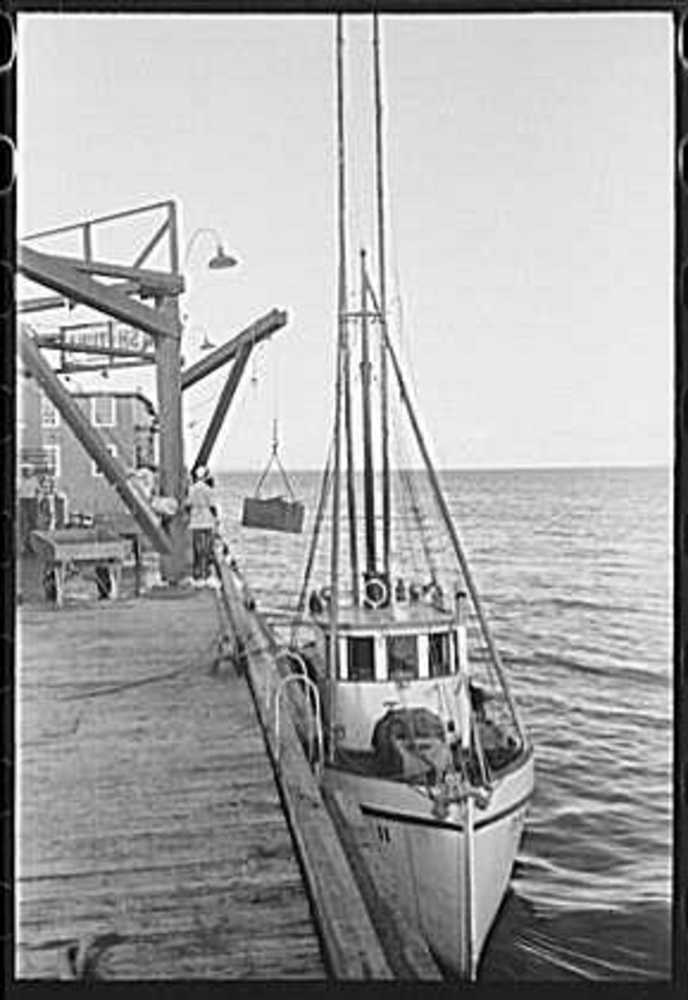 Fishing boat unloading at docks of CRPA, Astoria, Sept. 1941.