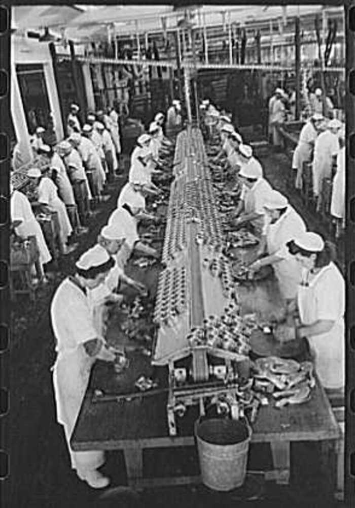 Packing salmon into cans at the CRPA, Astoria, Sept. 1941.