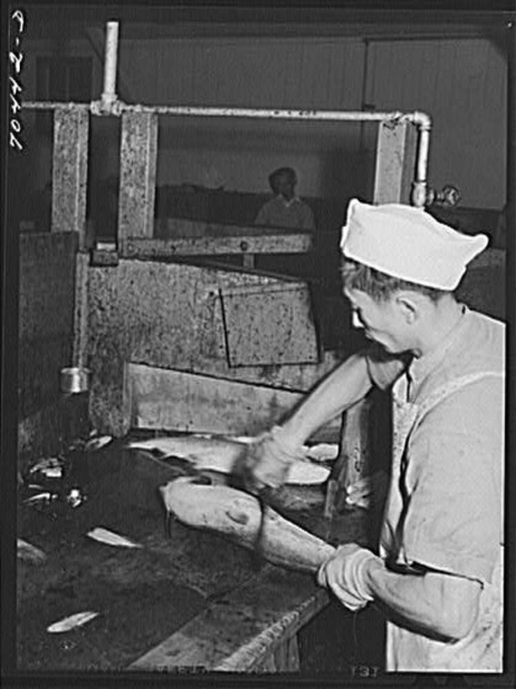 Salmon butcher at CRPA, Astoria, Sept. 1941.