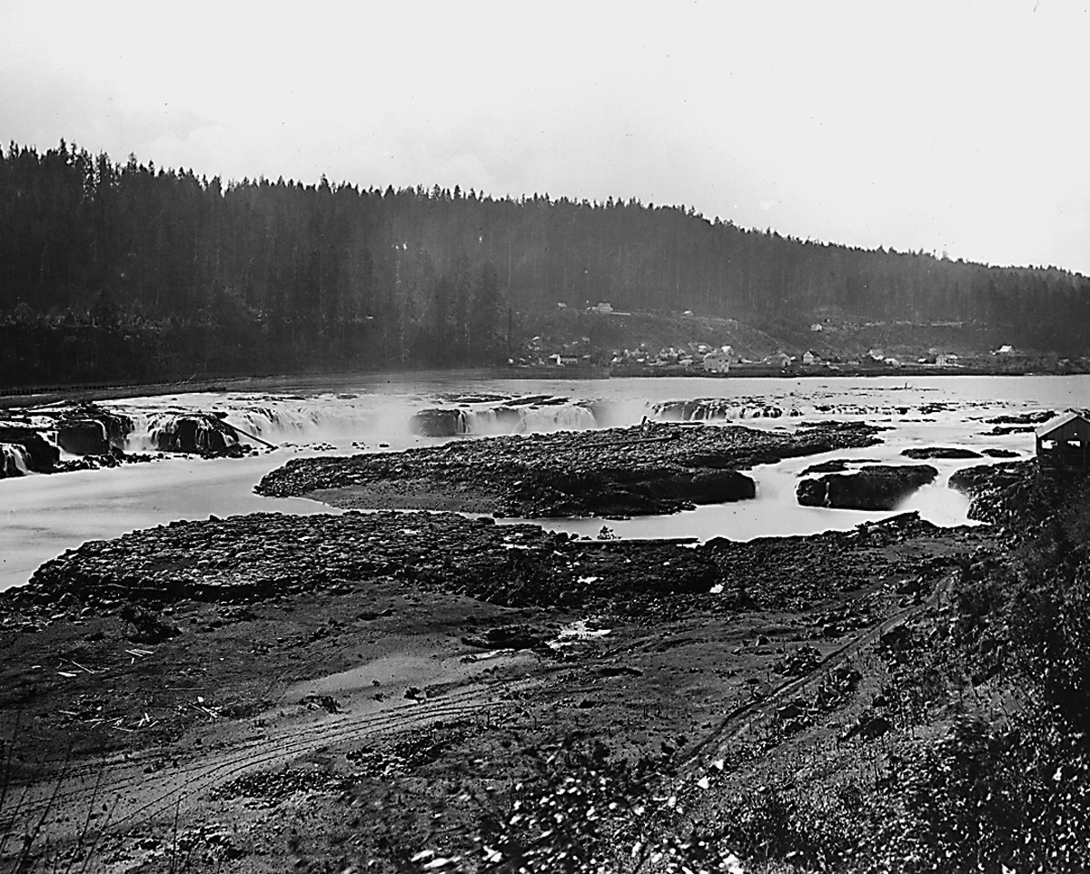Willamette Falls at Canemah, 1867.