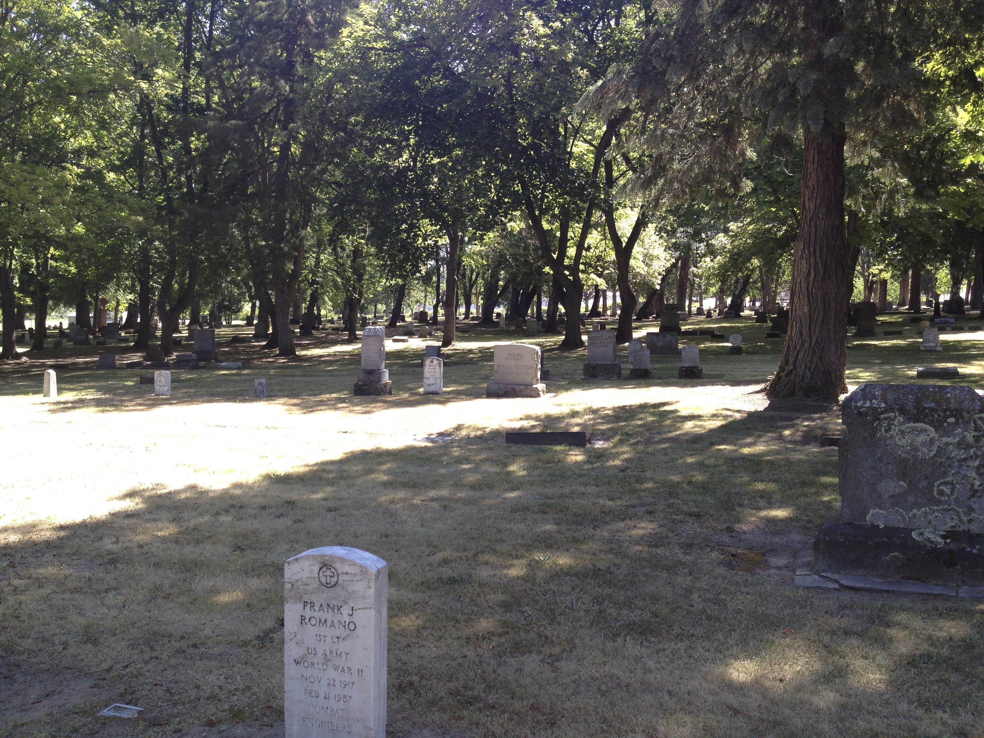 North parcel, looking west