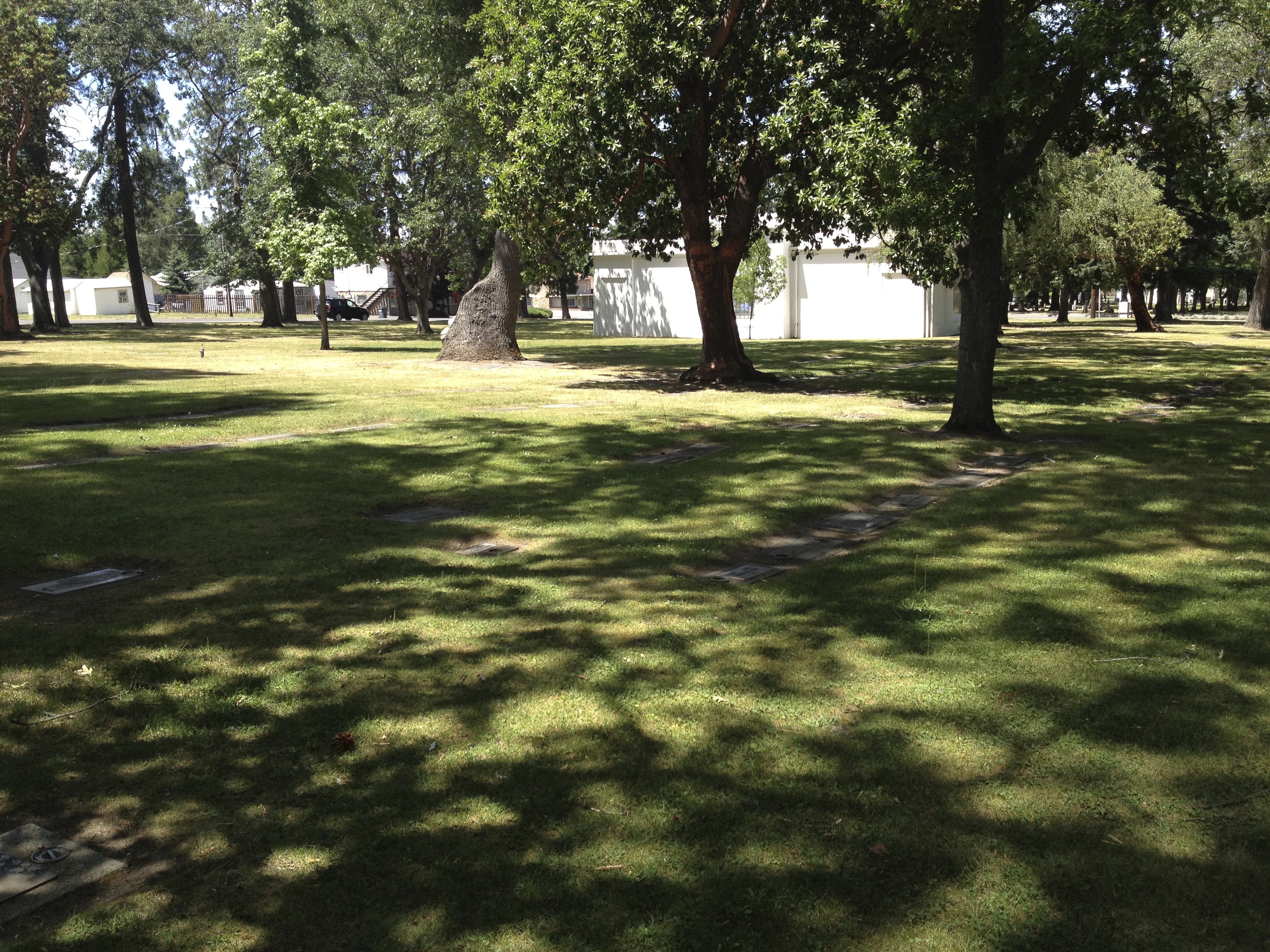 South parcel, looking northwest.