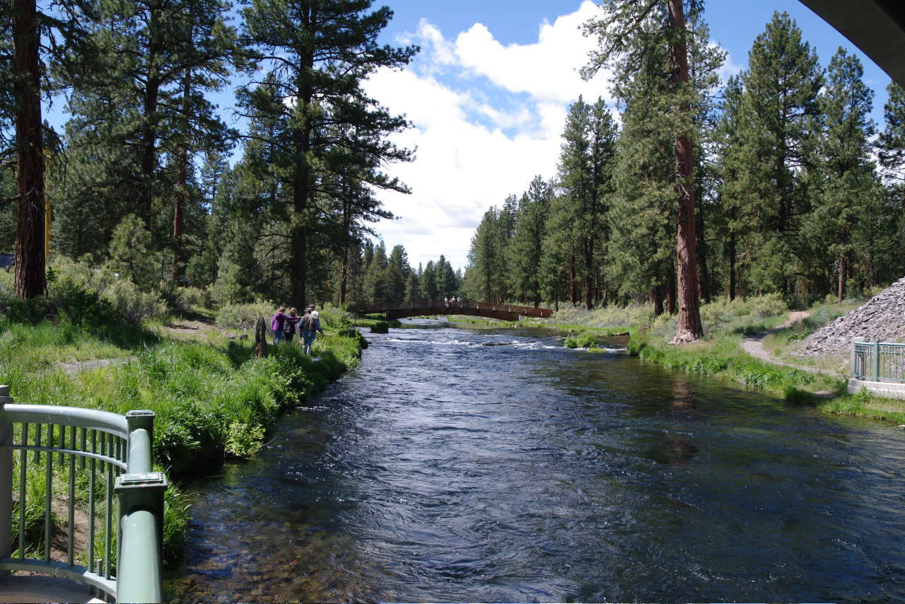 Spring Creek, Collier Memorial State Park.