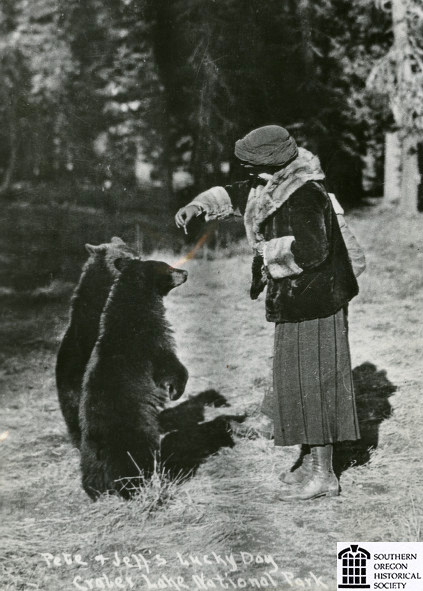 Woman feeding bears at Crater Lake National Park, about 1920.