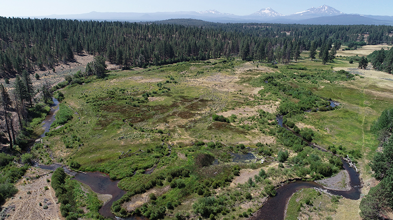 Camp Polk and Camp Polk Meadow Preserve