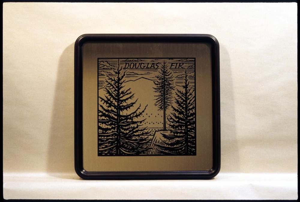 Bronze medallion of Oregon's state tree, the Douglas fir, created by Dennis Cunningham.
