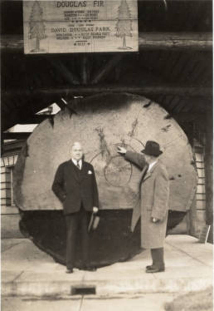 Douglas fir log at John Jacob Astor Branch Station, Agricultural Experiment Station, Clatsop County, 1940.