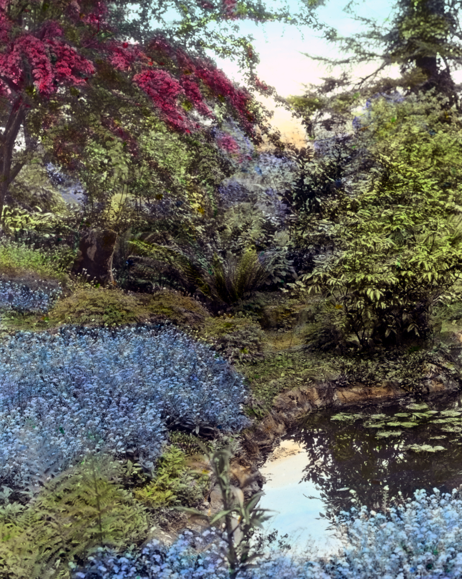 Elk Rock Gardens, about 1925.