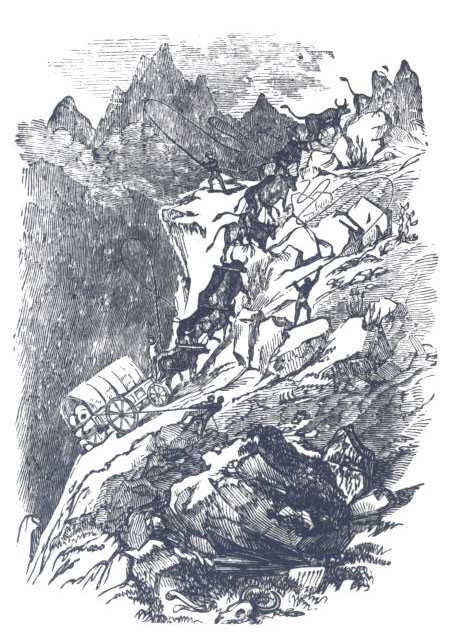 Illustration by Emma H Adams.