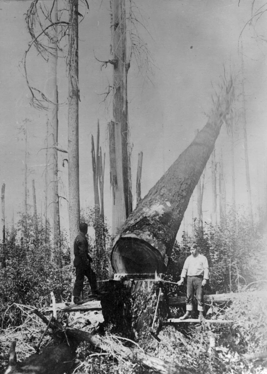 Native American Loggers in Oregon