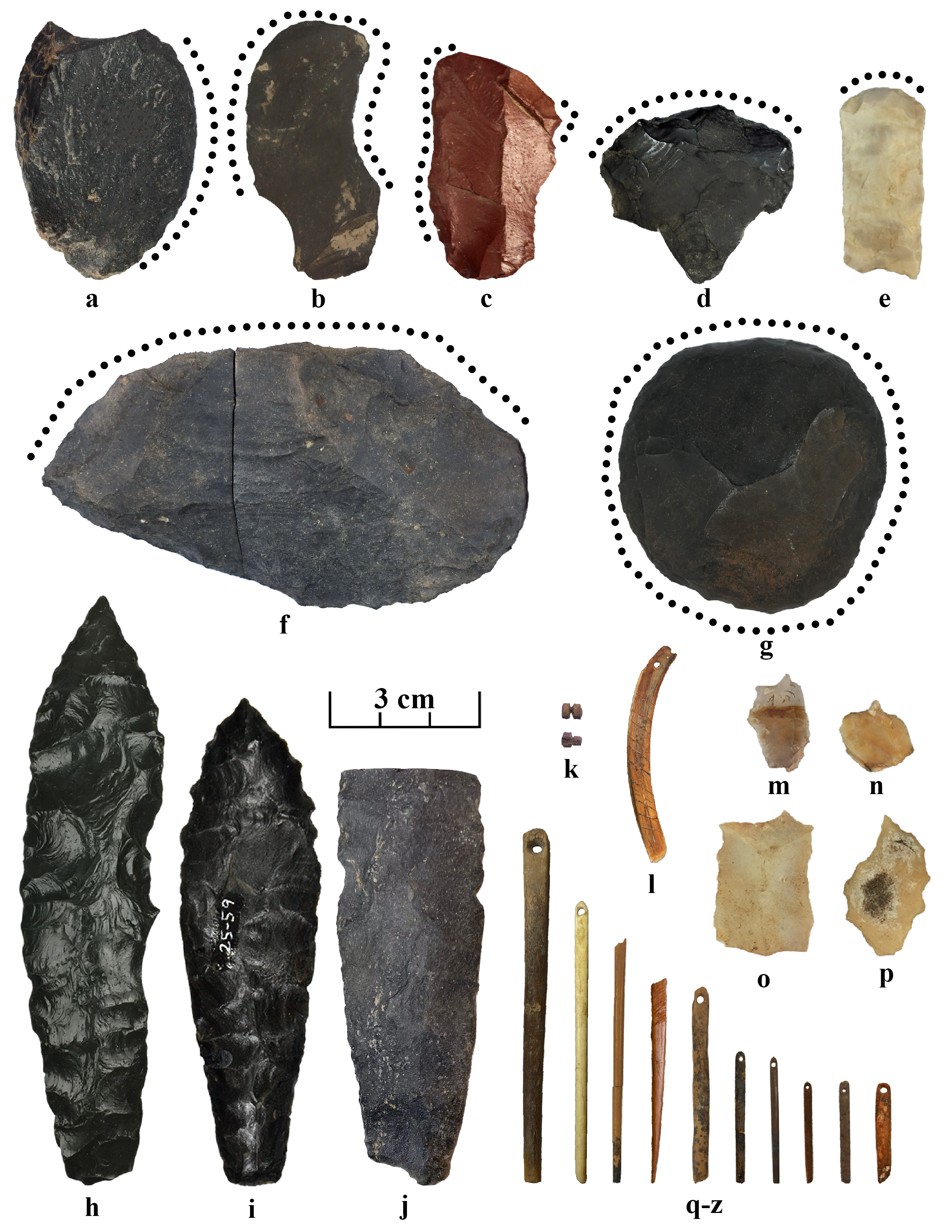 a-g: scrapers; h-j Haskett points; k-l possible bone and tooth adornment items; m-p graver tools used for making needles and other tasks; q-z bone needles.