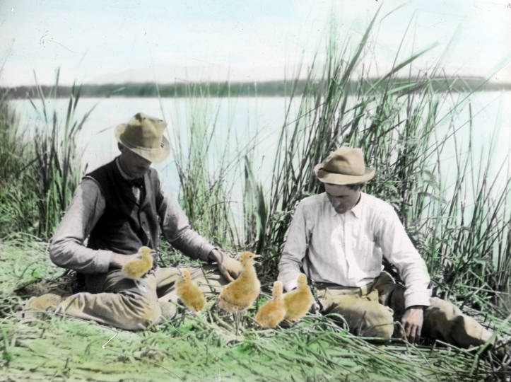 William L. Finley (r) and Herman Bohlman, Klamath Marsh, about 1905.