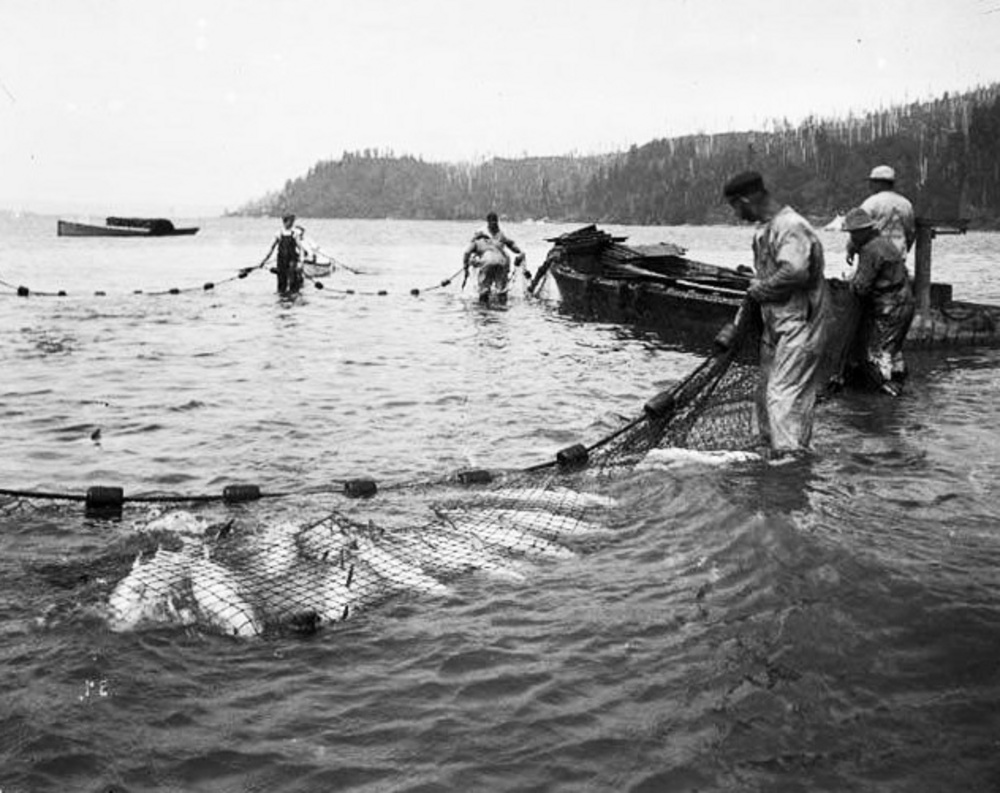 Purse seine fishing Stock Photos and Images | agefotostock