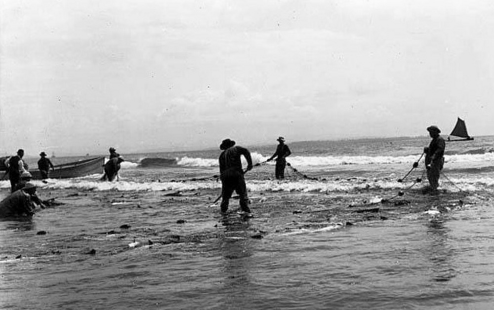 Seine Fishing