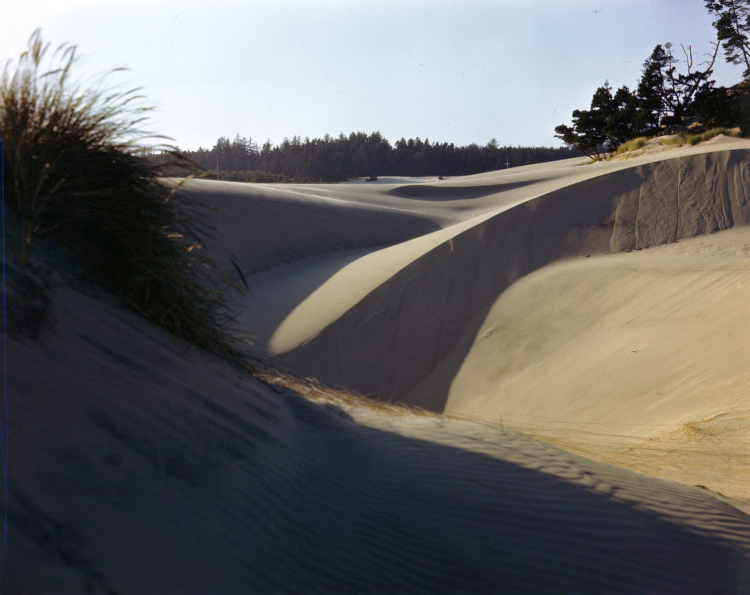 Sand dunes near Florence, 1940.
