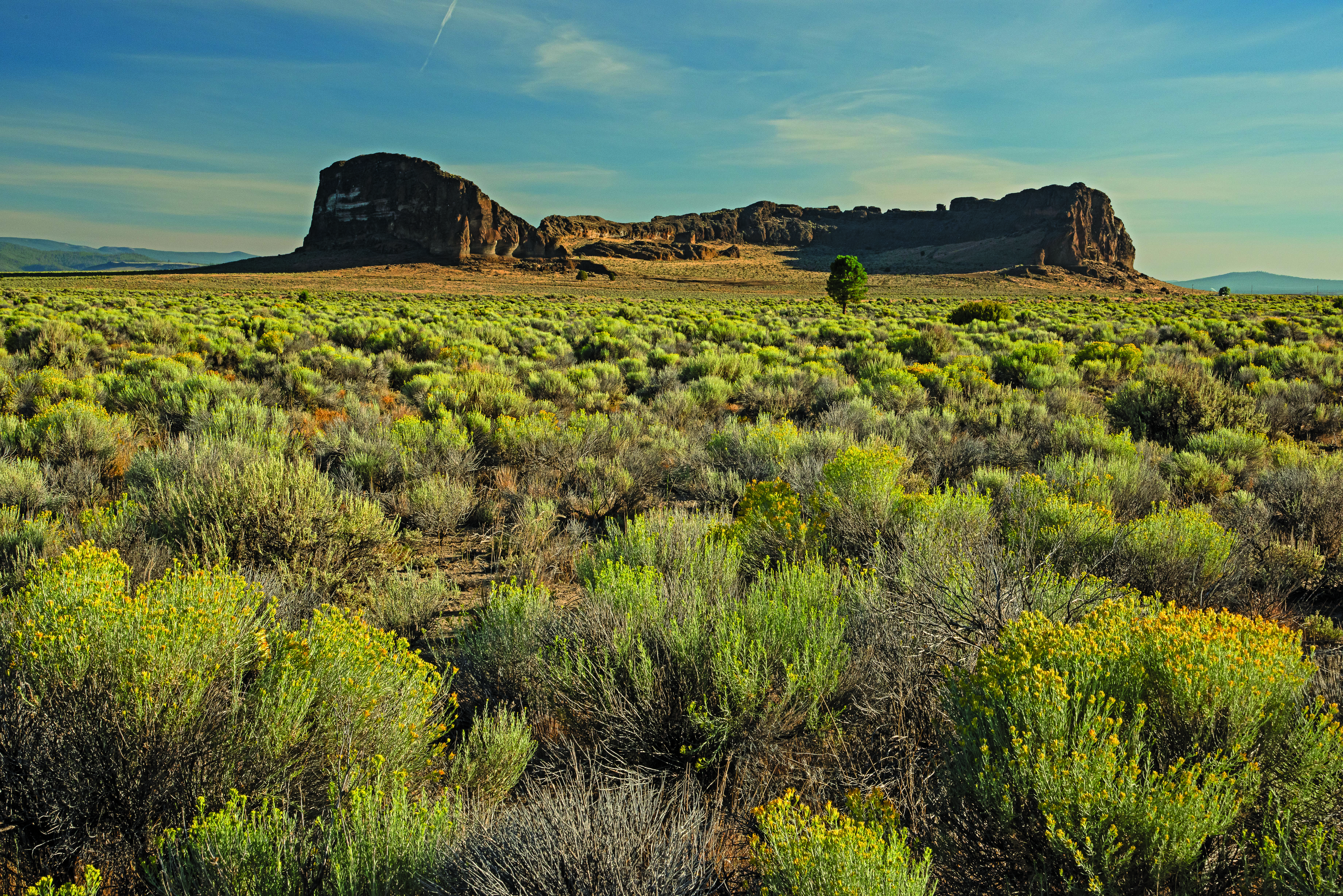 Fort Rock (formation)