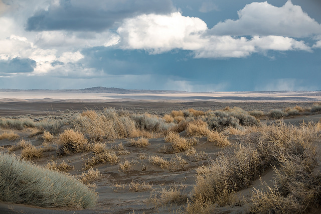 View of sand dunes.