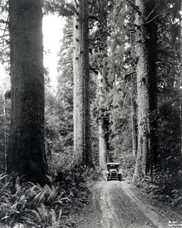 Highway 101 between Seaside and Tillamook
