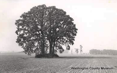 Five Oaks, Hillsboro, about 1960.
