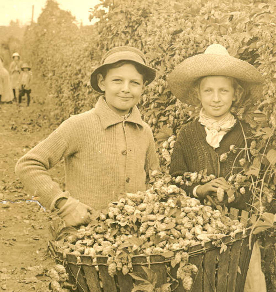 Hop Industry