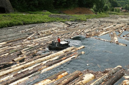 Sorting logs in pond at Hull-Oakes Lumber Mill, Feb. 2011.