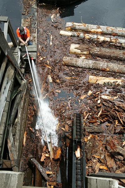 Debris being routed to chipper, Hull-Oakes Lumber Mill, Feb. 2011.