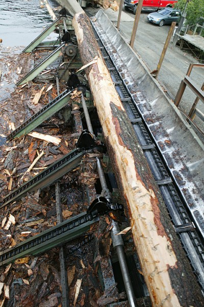 Log-lift hoisting logs out of pond, Hull-Oakes Lumber Mill, Feb. 2011.