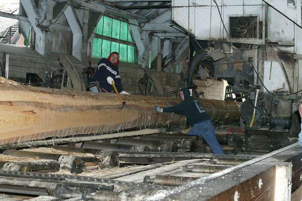 Log being cut, Hull-Oakes Lumber Mill, Feb. 2011.