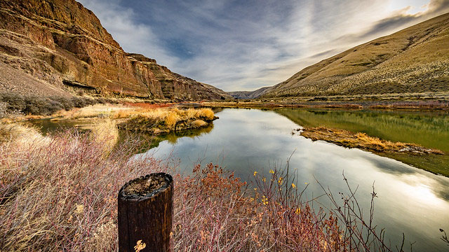 Cornelius Gilliam (1798–1848)