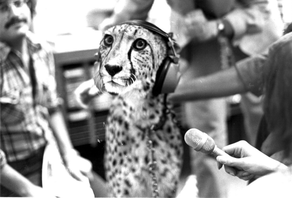 Jefferson Public Radio