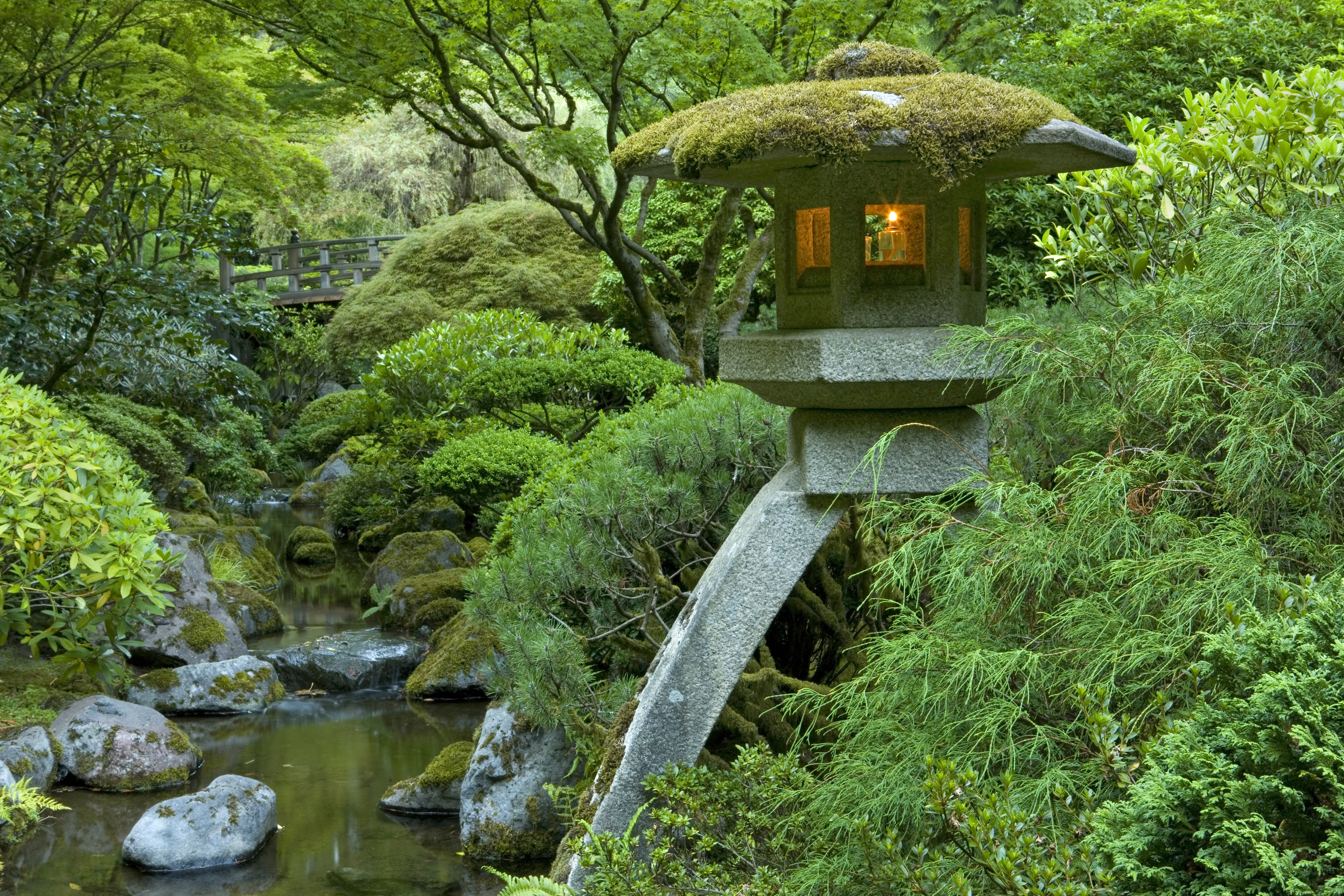 The Essence of a Japanese Zen Garden